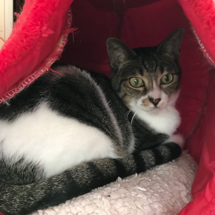 196a97ee 74e0 4892 9713 d51cba5f799c 1537147495828