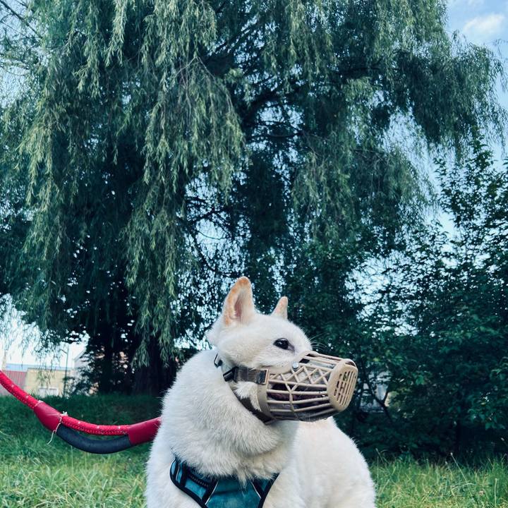 196aa8cb 0648 4262 85f2 f0b3e435cd31 1727303125618