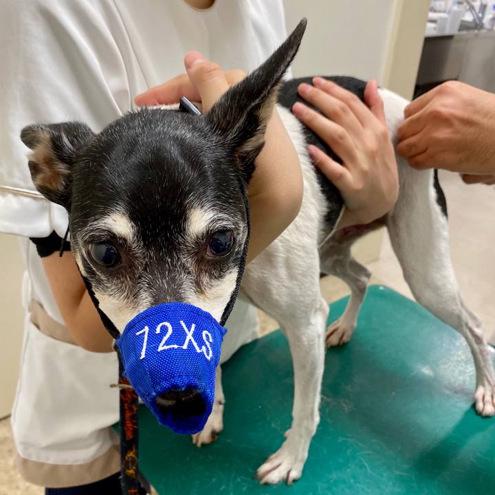 196ab670 16fa 4251 8a61 da083d847faa 1603501594371