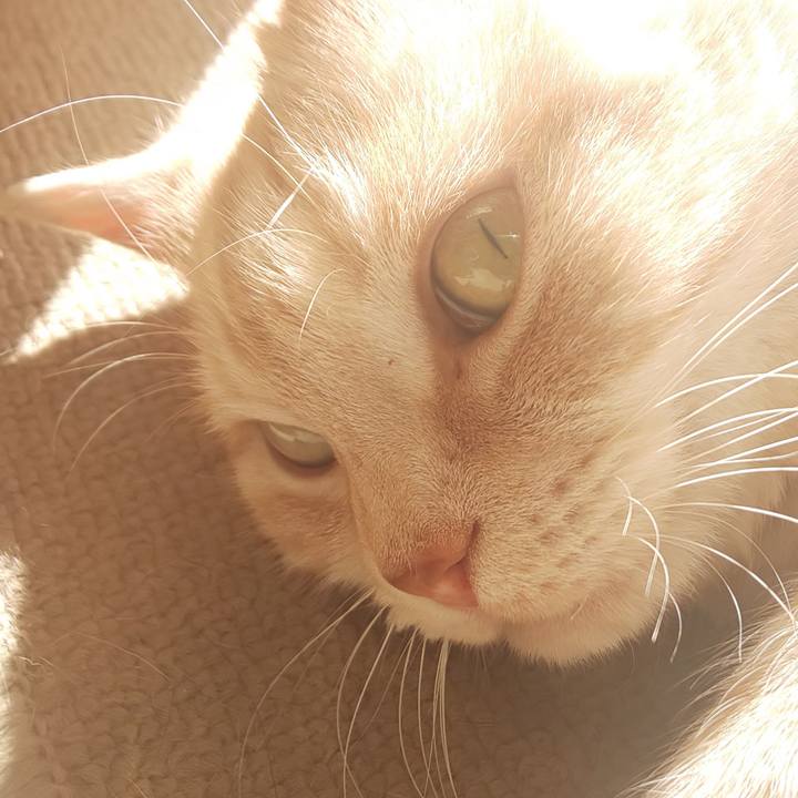 196ad8db d43e 4d7e 87f0 aec38d7852f8 1549721220112