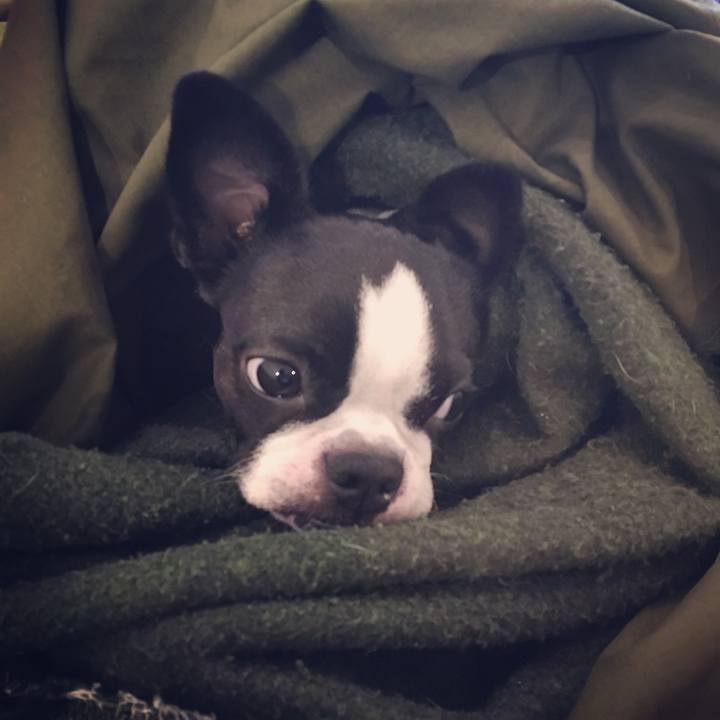 196b061b 5402 4de9 bc84 f522432ab02f 1511972229555