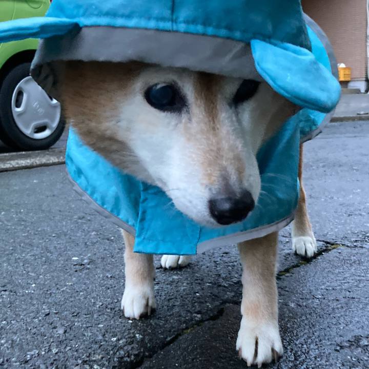 196b09f4 303f 42df 9451 05399d71f76e 1742039132753