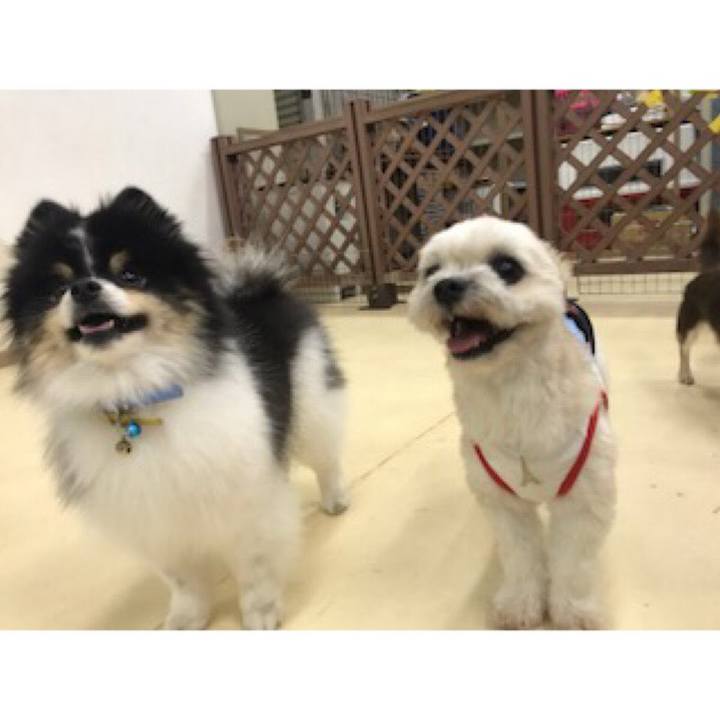 196b0fac 1855 4cef aa9d 0bae4e228e10 1536662002466