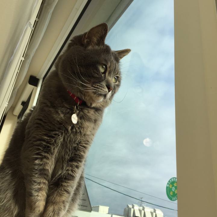 196b29d6 a4ca 4cb9 b3b4 1da27657188e 1554412187574