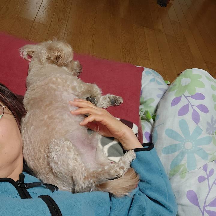 196b469f 4f84 4dc2 bfa2 026cc3bf2973 1670981858380