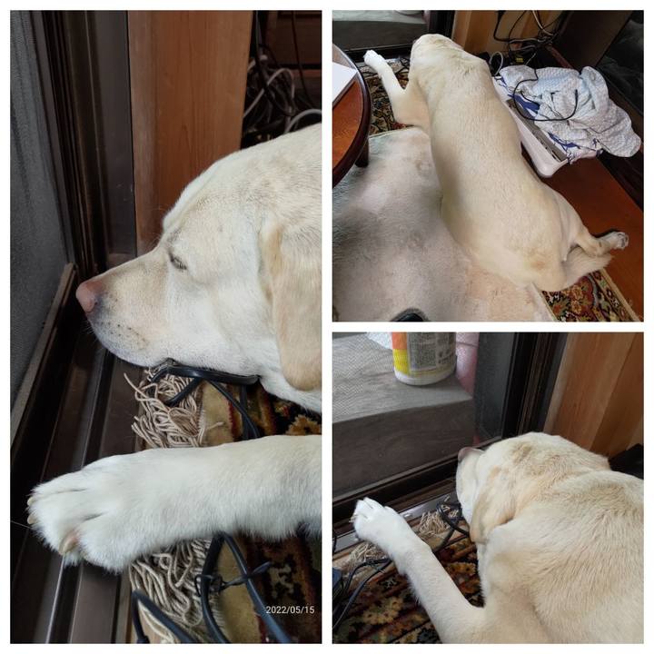 196b72b9 635d 48e3 9fcd f8c2b2164d3e 1652607790814