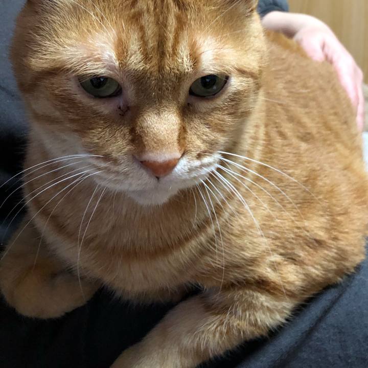 196b7ae8 c3fd 4ef9 a0c7 95056065d701 1644355549205