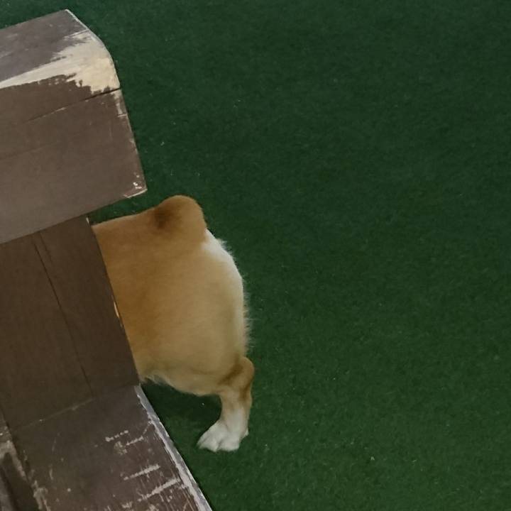 196b8a81 8480 4030 911f c4f6d7396690 1649633071741