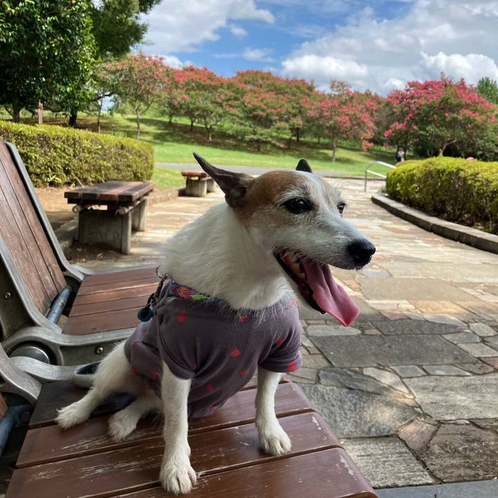 196b96a8 426b 47b3 9753 06fac0841bf7 1692141421844