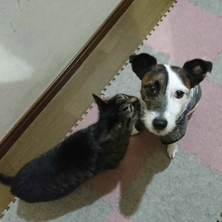 196ba594 4ea5 4640 972d b15736adf484 1518864485343