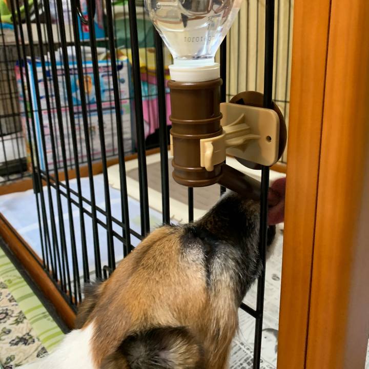 196bc6de fbf4 47d1 9685 883737b07ec3 1594512833596