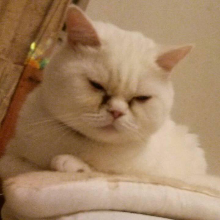 196c27e9 2355 4625 ad4d bd046de7a63a 1509799347809