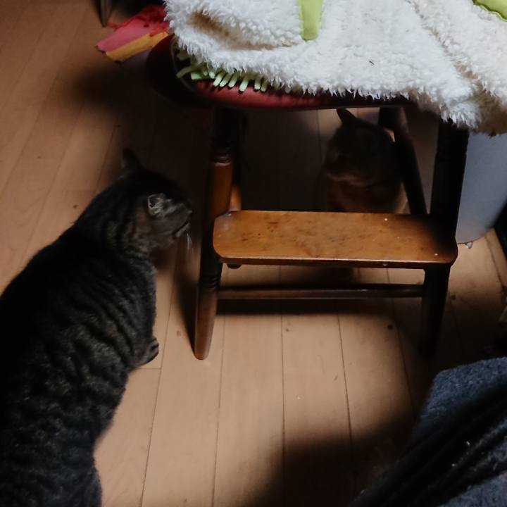 196c379f c4ca 4c1e a59d 7bf725387b47 1637526997301