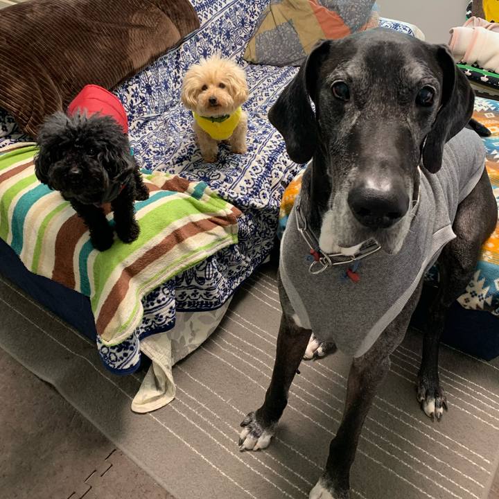 196c6e5d bfe6 4dbf 8a69 871bd49d991d 1582756888356