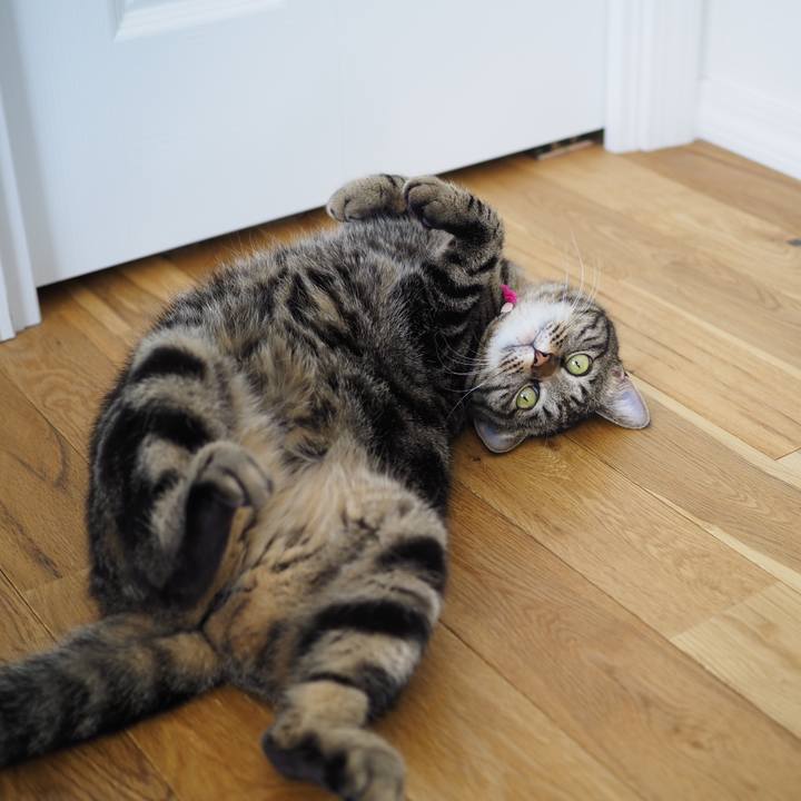 196c7724 aa6e 4389 ae28 fea47b93417b 1618793828305