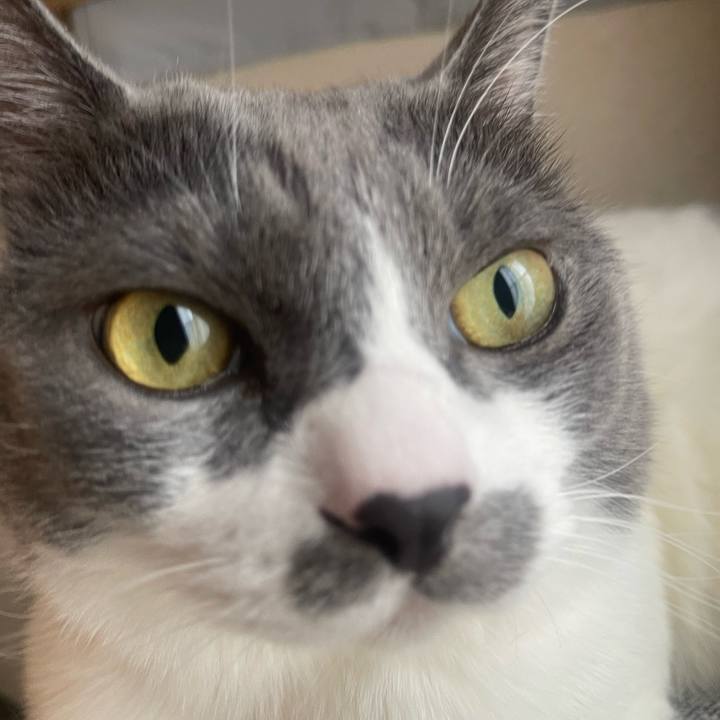 196c9c8b ba22 4ee8 b202 19f198656408 1757633240766