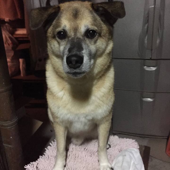 196cd2c4 65fc 4e8d a2b7 dcccd2d45870 1571831835624