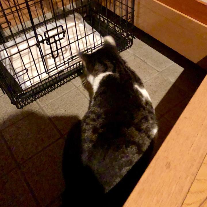 196ce78a 66ae 4ba7 a732 56706df776e4 1537183553249