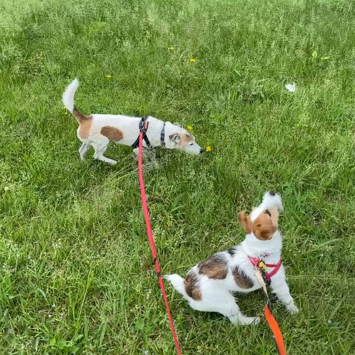 196cf65b 0e14 490b 9685 21ce795e3f5f 1621750289896