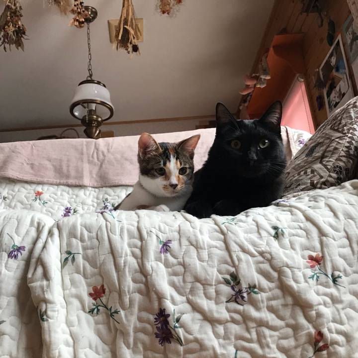 196d07d4 3be7 498c b854 6676d45d912e 1606088297064