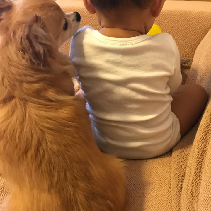 196d0a6f b7e2 49d8 931b b9b0748f8340 1540084103661