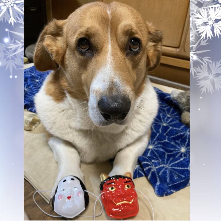 196d4c68 3f8f 4de8 86cc 56a5187e8662 1706965023604