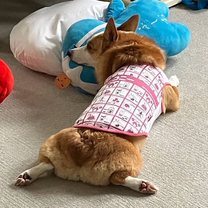 196d6b37 9912 47ab b746 03158e7a3761 1761980528458