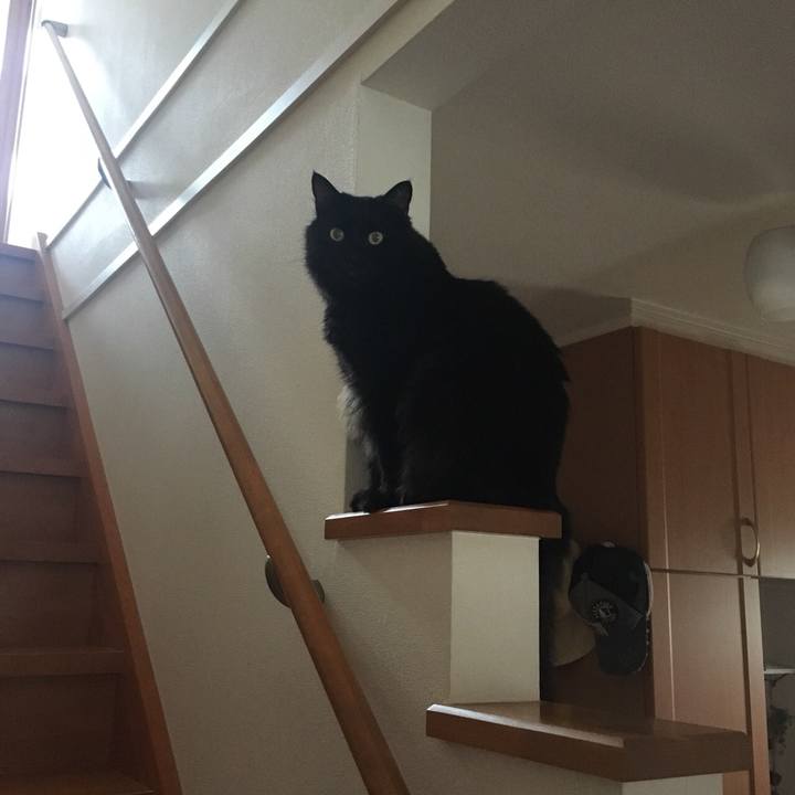 196d6d5d b0e5 4eec b274 ac1fbfd14a0a 1535331605233