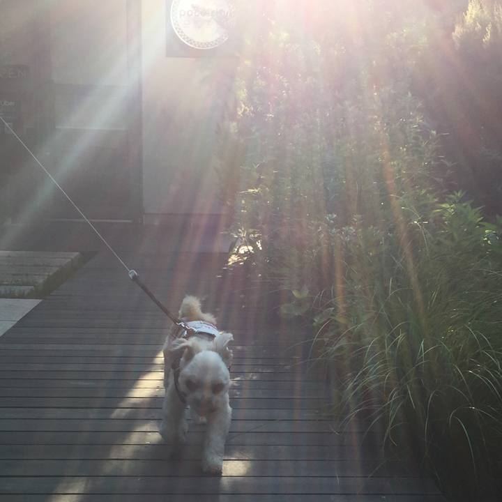 196d7ca9 59a9 4610 b3c2 c04301bb71ab 1565390387597