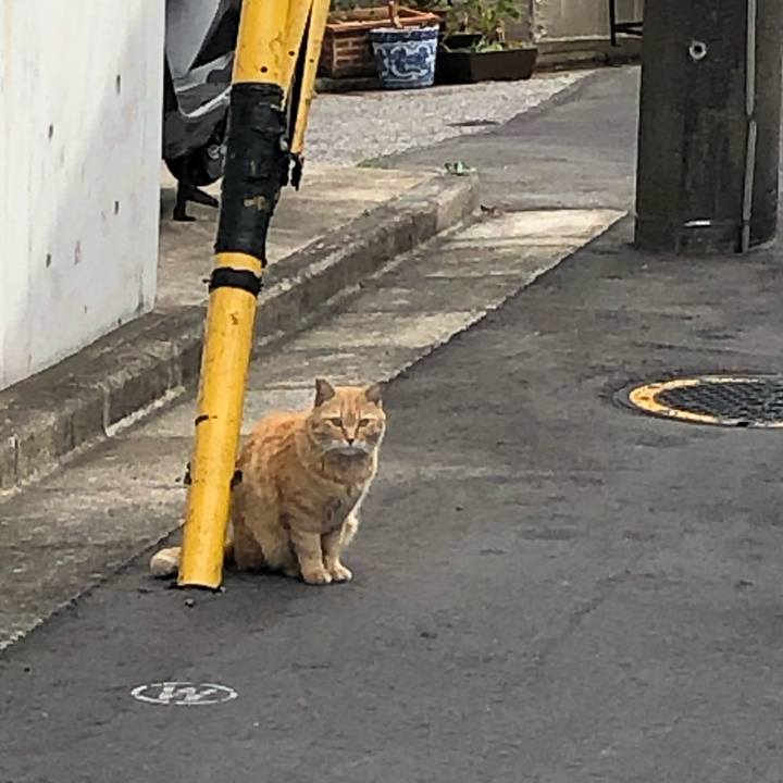 196d97bd 9238 4835 be9e 017c5218a8d9 1649603033967