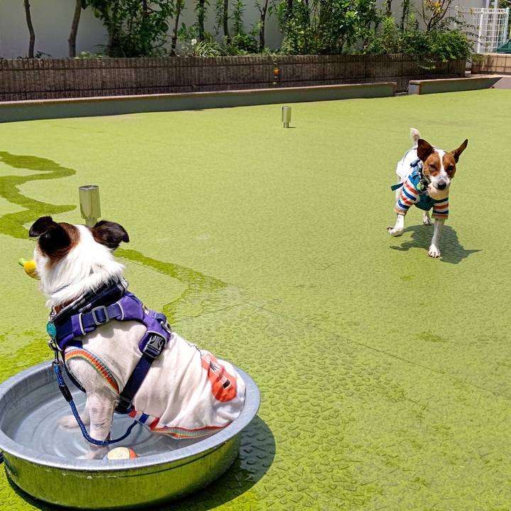 196dbb64 0b50 4f59 91e6 bff891b4f0d0 1626151038308