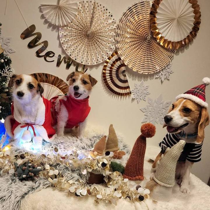 196deab3 3741 48ae 8854 2fdbdbf75896 1670314011372