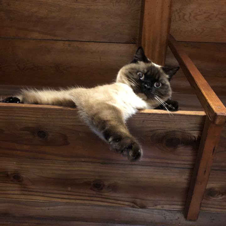 196e78d3 01b1 409b ab7b e7f133d2ec8e 1621562242790