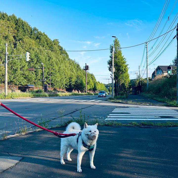 196e899f b84c 4a29 871a 5c5ad118bc52 1755464525873