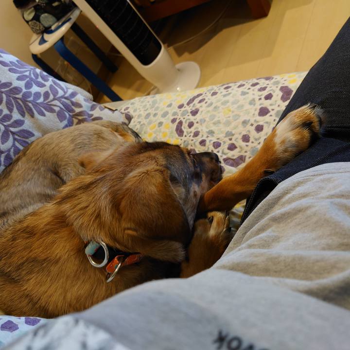 196e9671 45ba 4c51 a029 10b98e52cd49 1686008971277