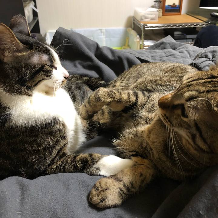 196e9d46 0502 442e bd5d e3adcb43161b 1519531375673