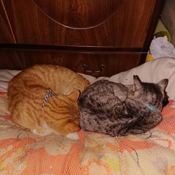 196ea82f f1ab 467e 8d9c fd9ccd11243e 1572880388003