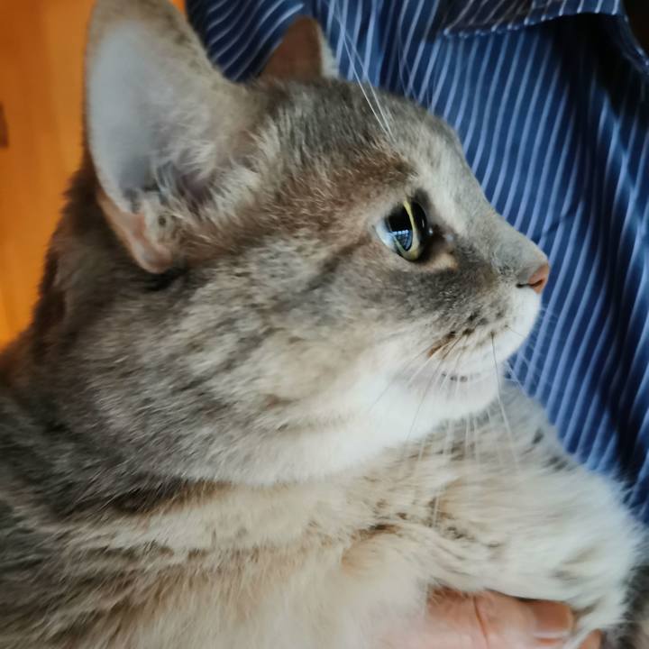 196eac52 5530 467c 9a75 1d8db0afce55 1663549490617