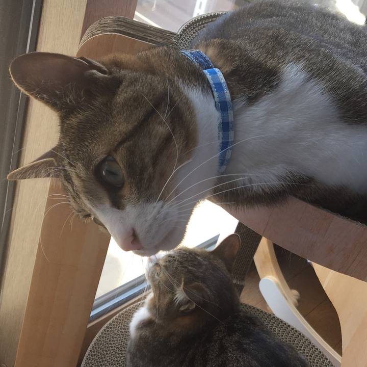 196eb275 ecc8 45f6 91a6 c2244bd2c95f 1689212083811