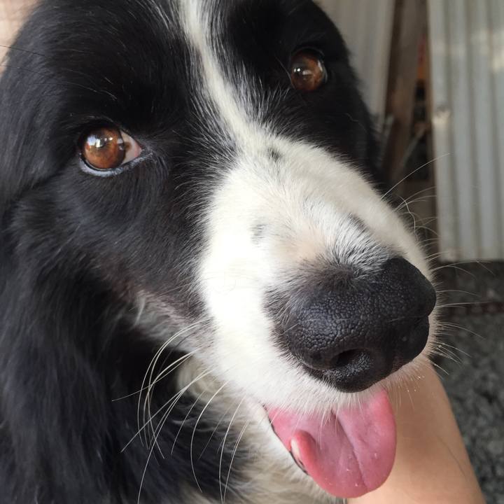 196f1695 f72a 4b2e ae25 832cb2e2ea6e 1533342156801