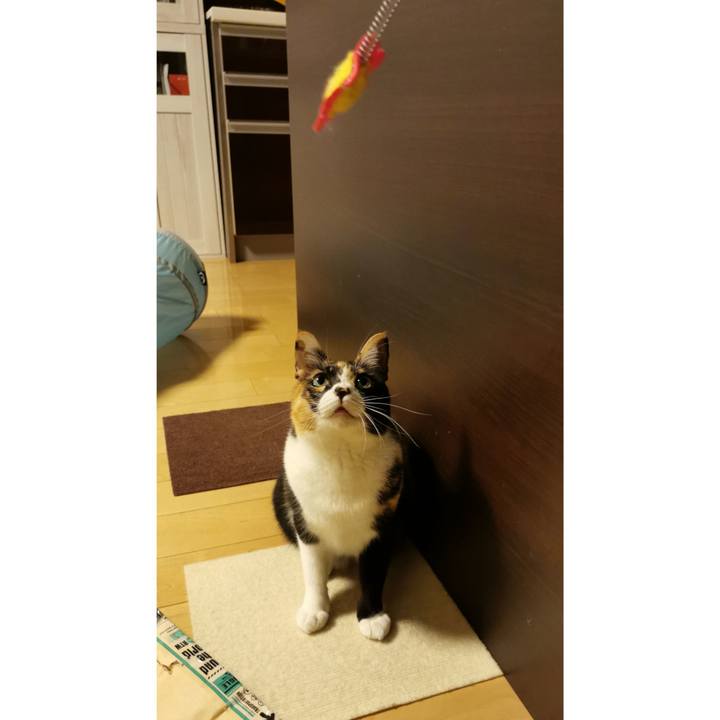 196f18be 5119 4592 85d7 7c8c5875d567 1669004953883