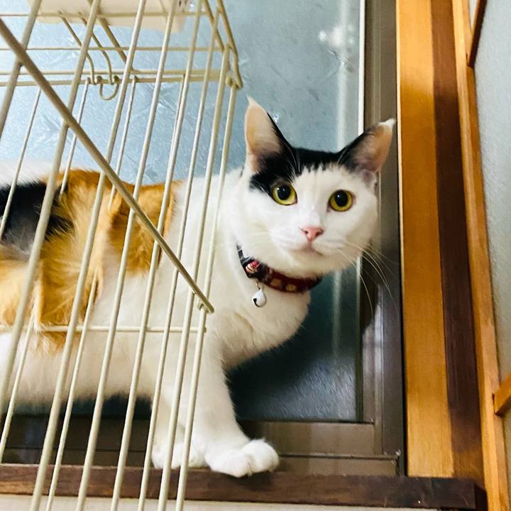 196f2256 31f7 4be3 acdf f27d77d07977 1662720982650