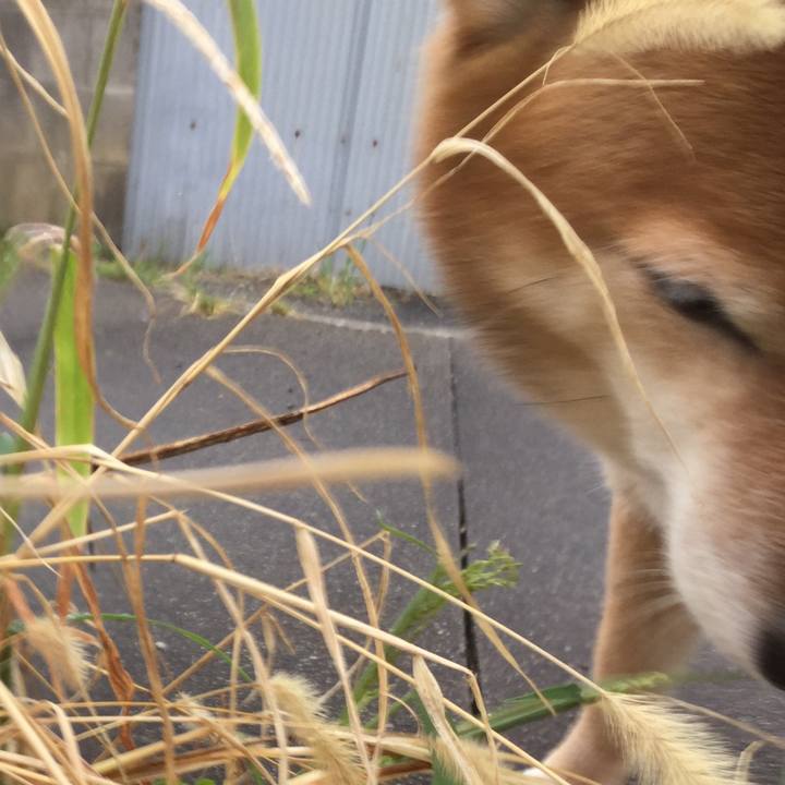 196f23bd fd00 440e 9670 27769a4923f7 1568790161547