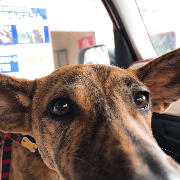 196f40ed 59ff 49ed a796 1f825d029380 1576299708789