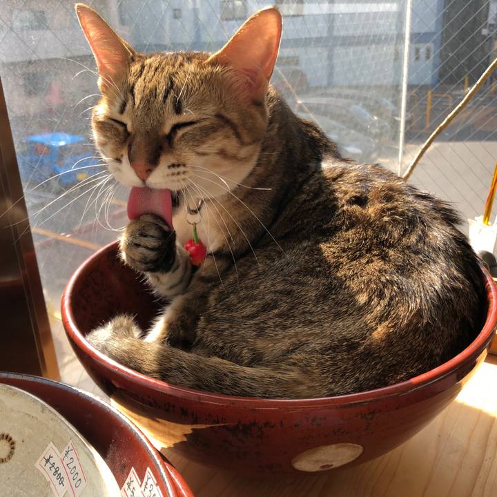 196f514a f01d 4110 8330 85181146f8b2 1643865729863