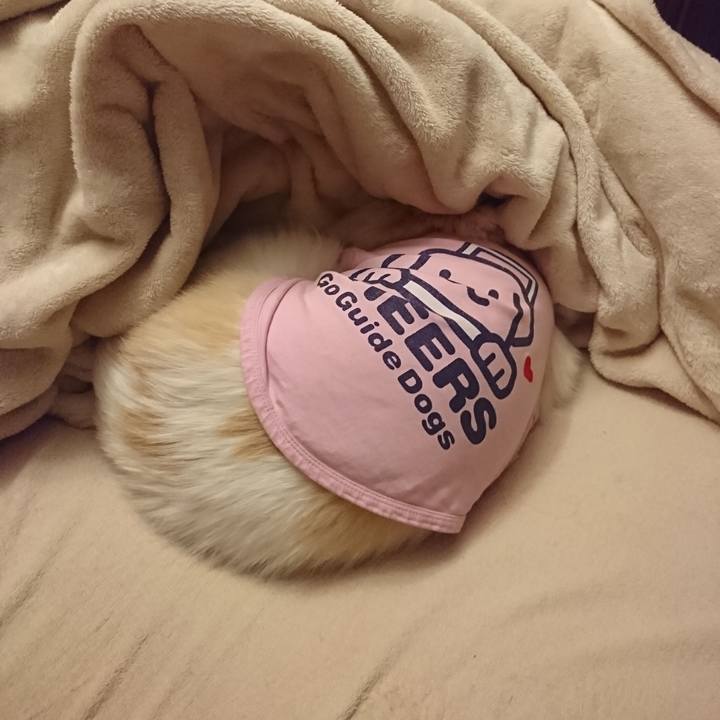 196f5be6 e937 4678 be1a c8d6d25fe1b3 1548621142207