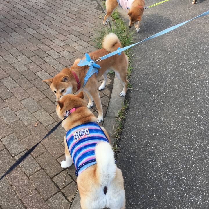 196f7c0f 9430 479c a983 4c9107af1ec2 1569371091290