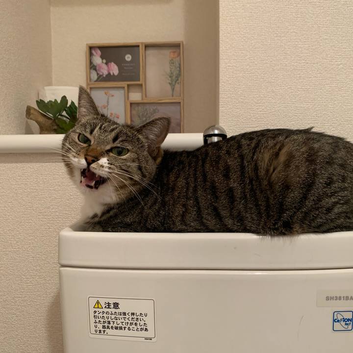 196f7dd8 b814 4a04 aa1e 794c92e1102b 1630152186196