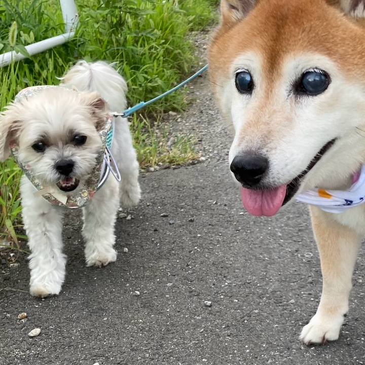 196f8bdf 183b 431e 8fd6 0d8bd2887112 1721896029520