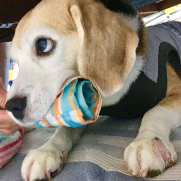 19701468 b1fe 4f5a 9ad3 02dcacce7bb6 1567847836143